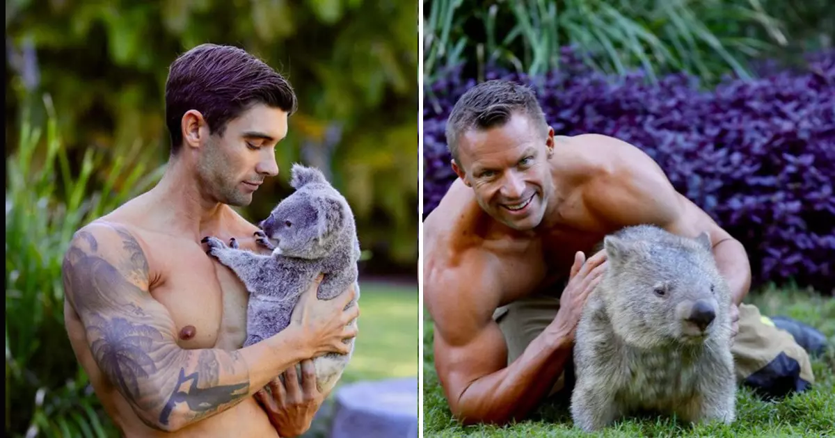 Hot! Australian firefighters Section for a charitable calendar to help animals