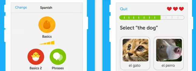 duolingo