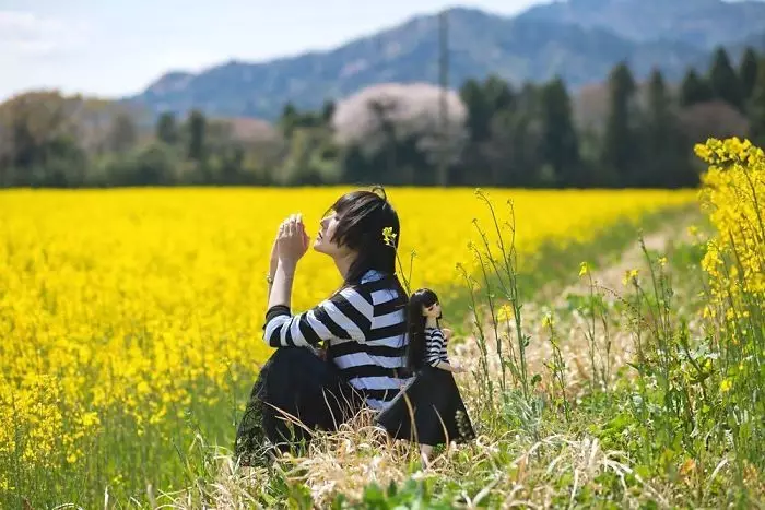 Sawah warna konéng. Dipasang ku: Iretaro.