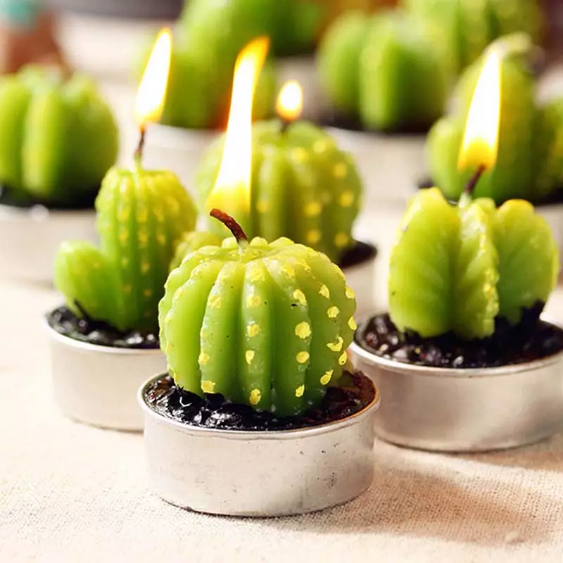 Cactus Candle.