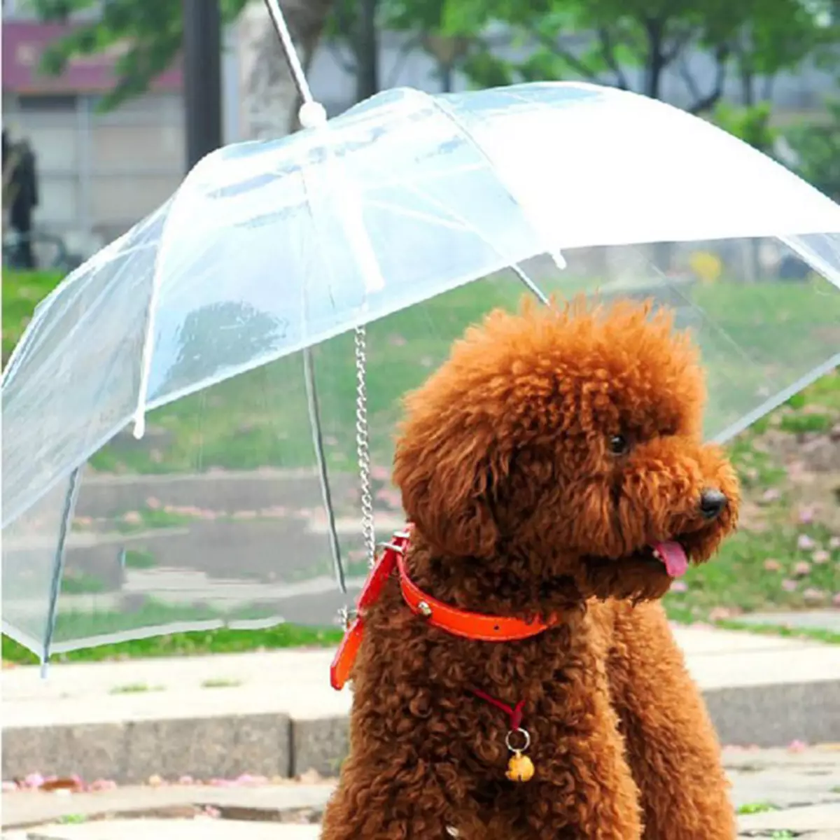 Regenschirm für Hund