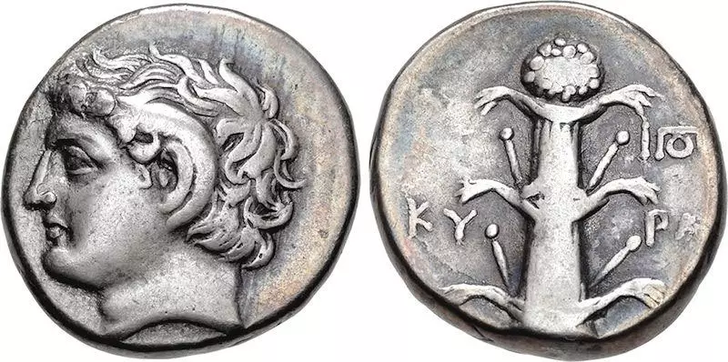 Contrôle de la naissance-Silphium-Coin