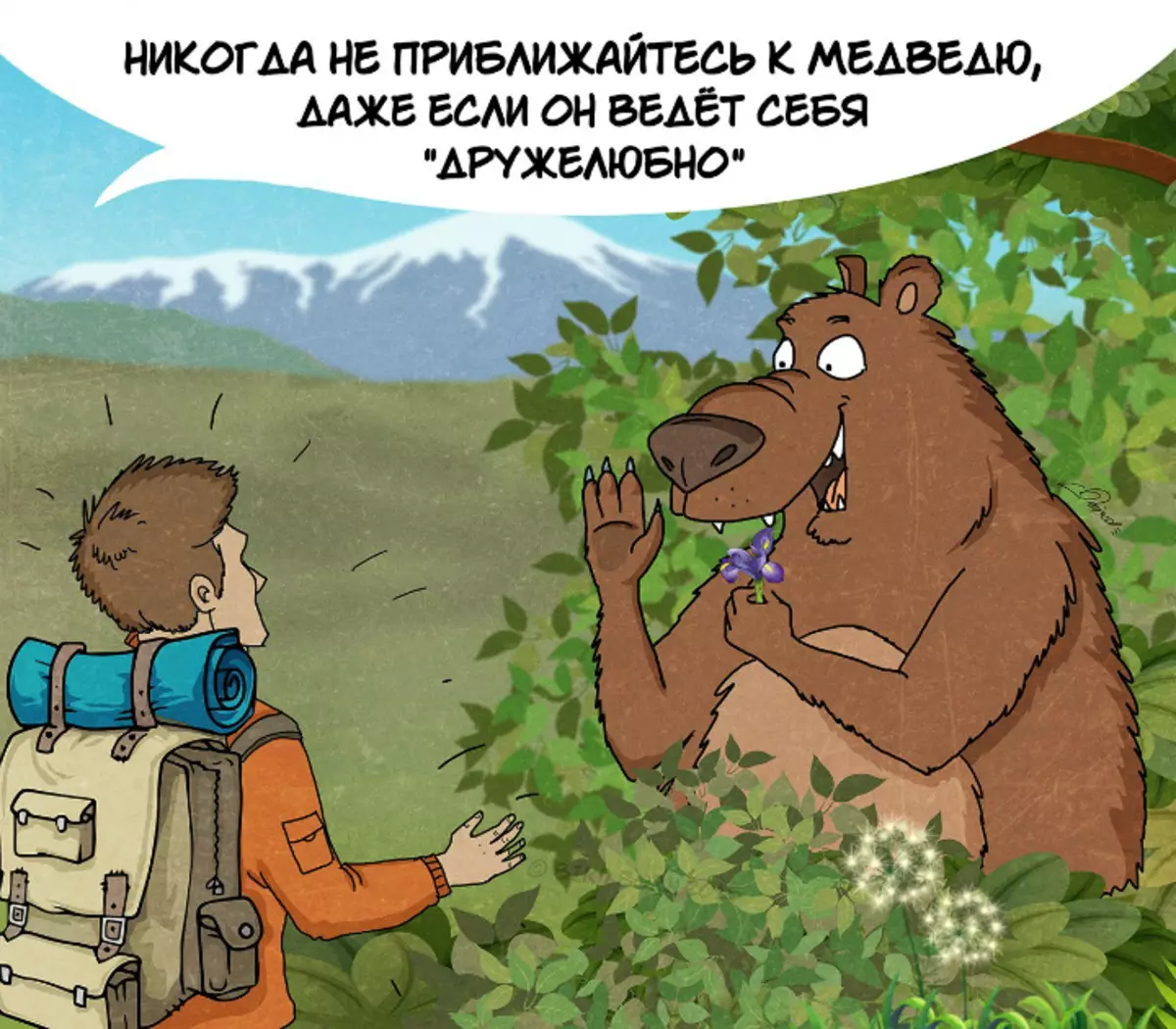 Bear06: