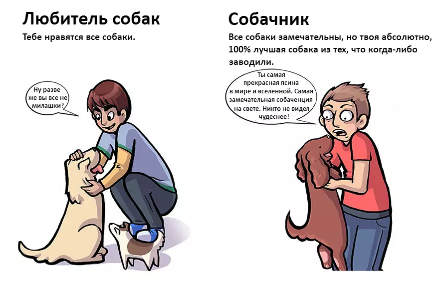 doglovers02.