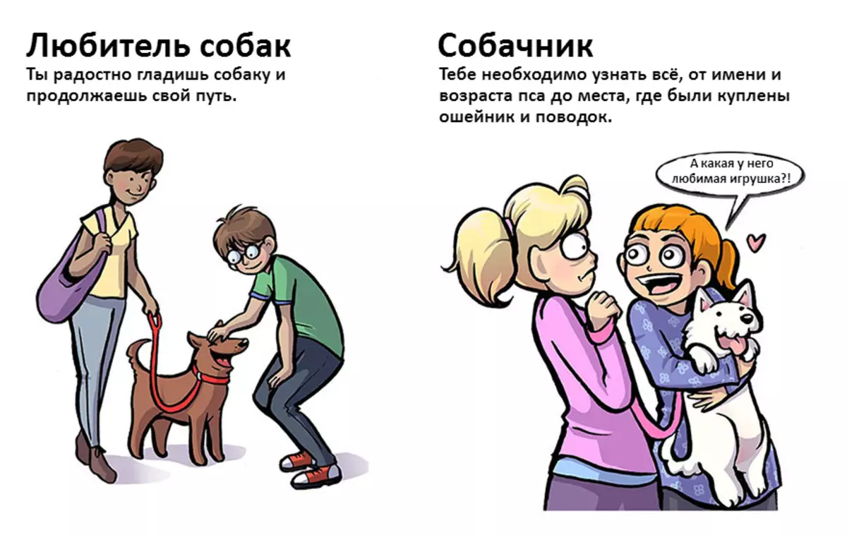 Doglovers07.