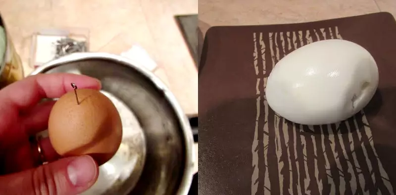 EGG.