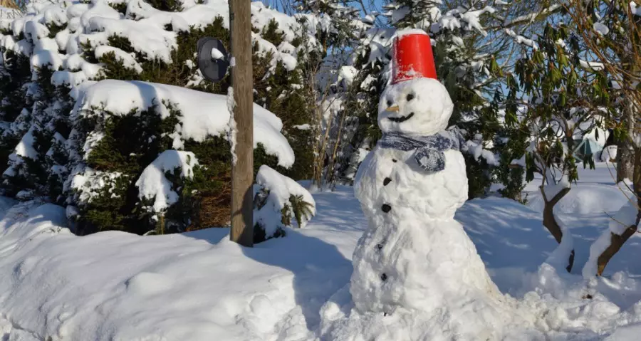 5 razones para pasar el tiempo de fin de semana en el país en invierno, no de verano.