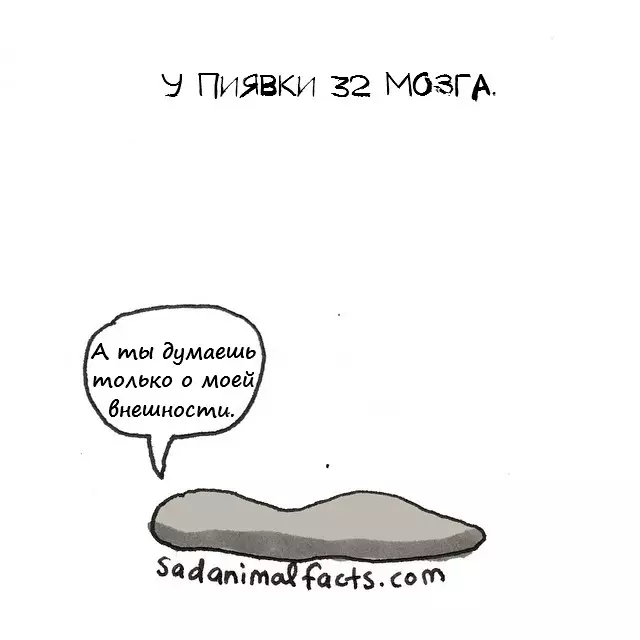 Faanoanoa23.