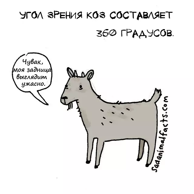 Сад07.