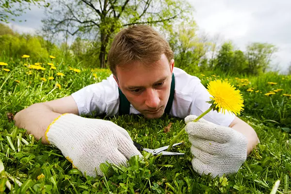 Letní muž. 9 Rozdíly od osoby rozumné 36678_3