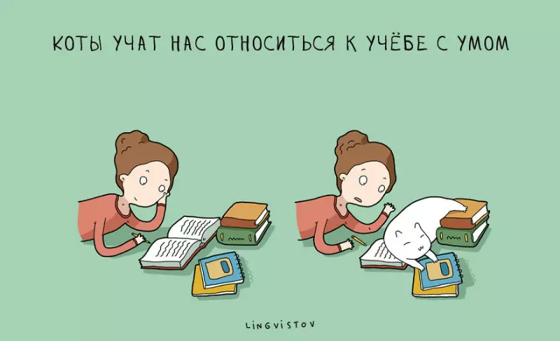 Izizathu ezili-11 kwimifanekiso ukugcina indlu yekotoni. Okanye kitty. Okanye amashumi amane 36728_4