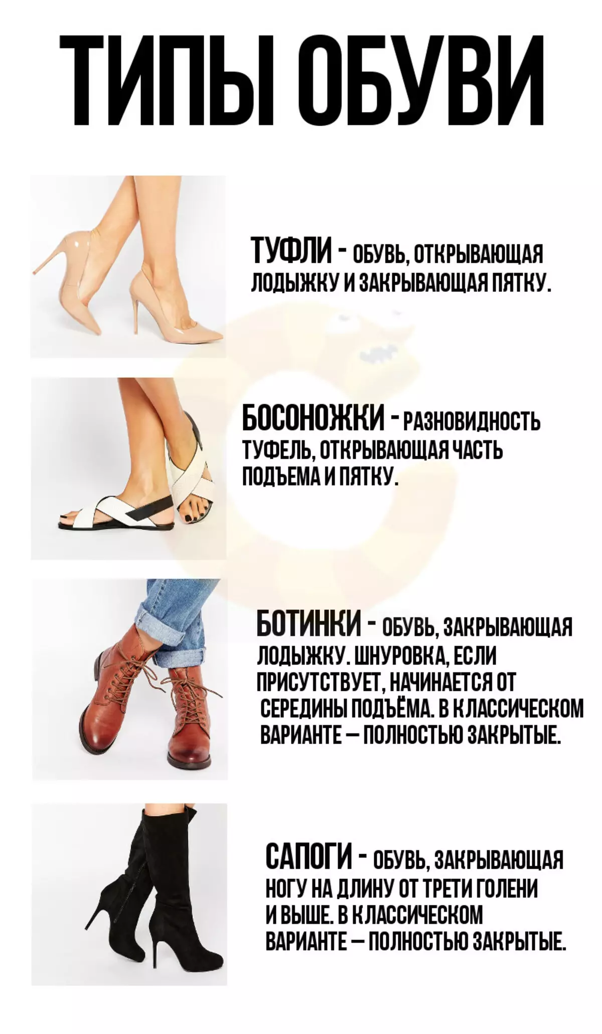 Модная Обувь Название И Фото