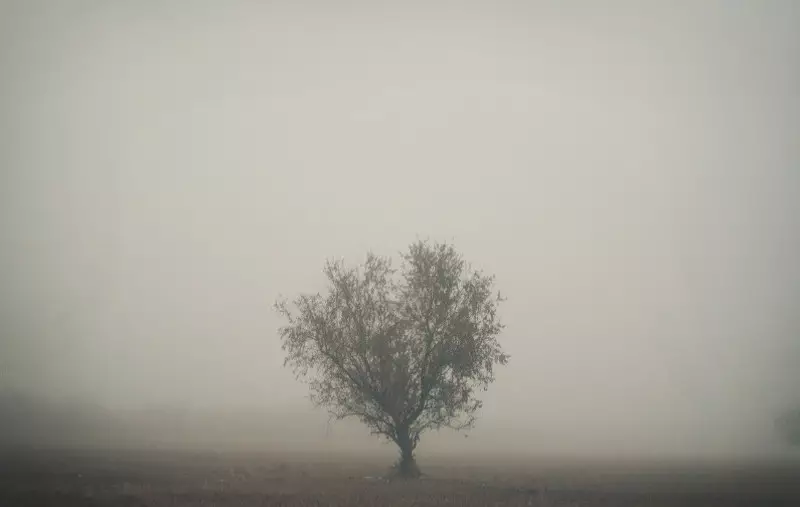 Tlen e desespero: as melhores fotos de nevoeiros de outono