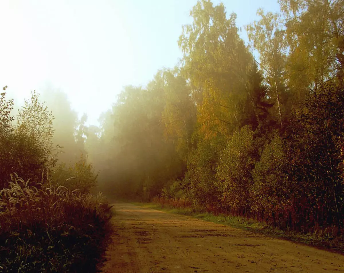 Tlen y desesperación: las mejores fotos de niebla de otoño 36747_11