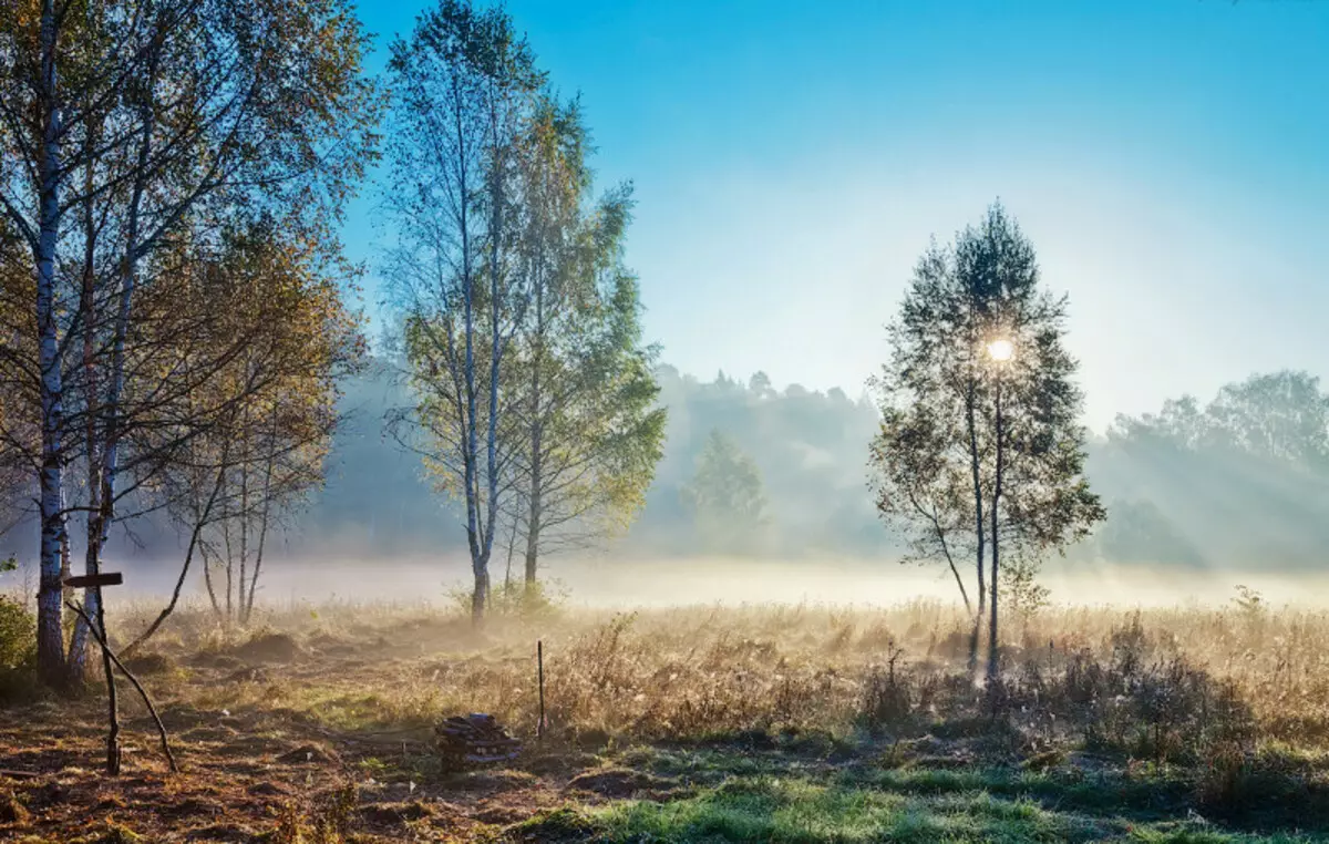 Tlen na kukata tamaa: Picha bora za Fogs ya Autumn 36747_13