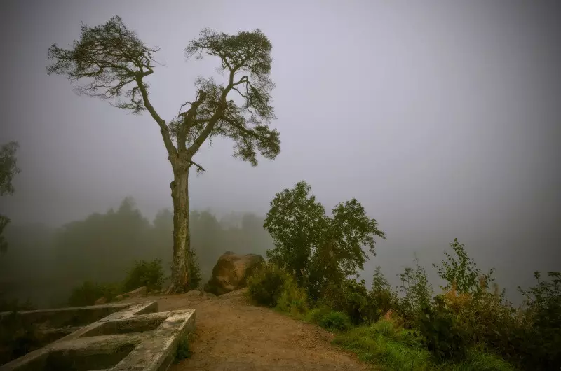 Tlen y desesperación: las mejores fotos de niebla de otoño 36747_15