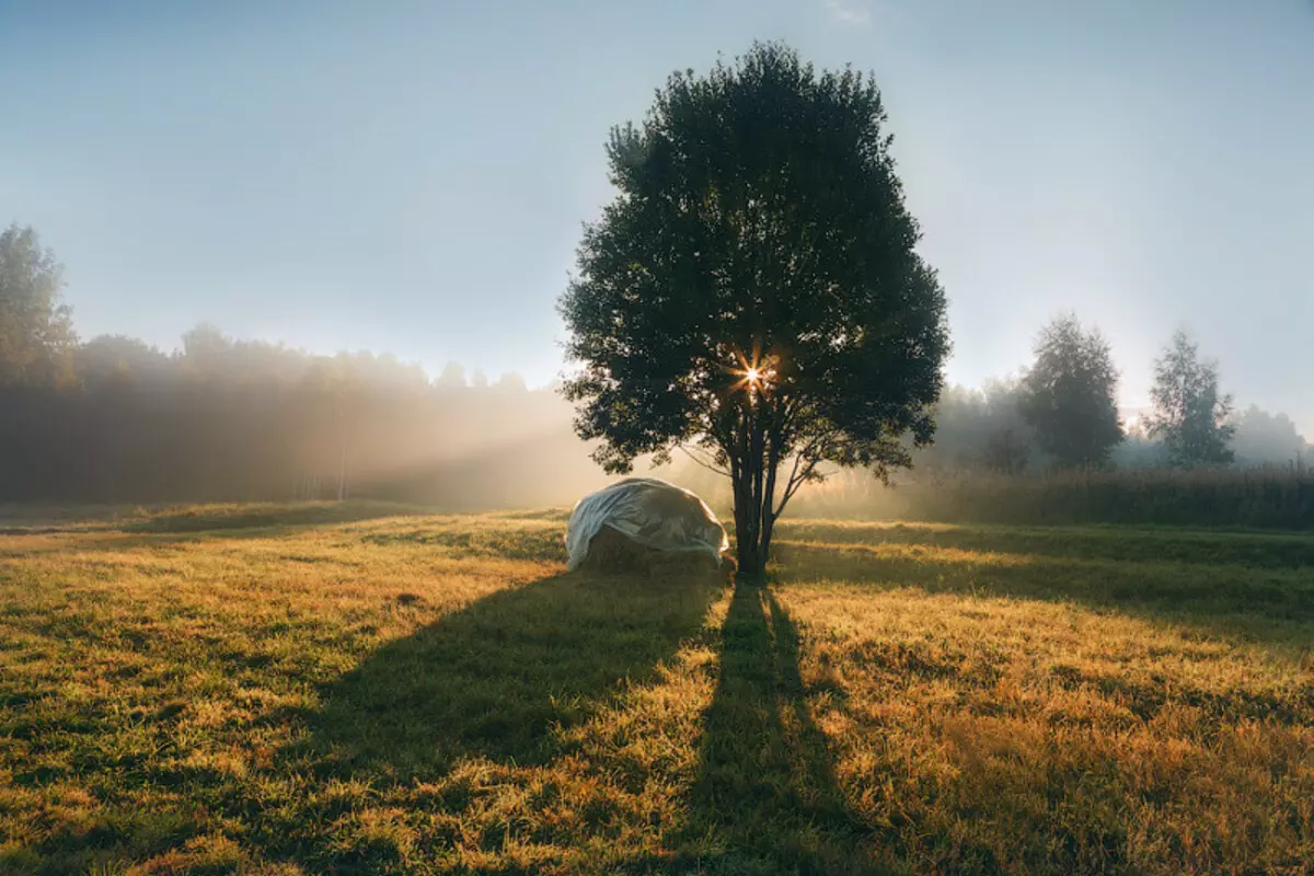 Tlen a zúfalstvo: Najlepšie fotografie z jesenných hmly 36747_17