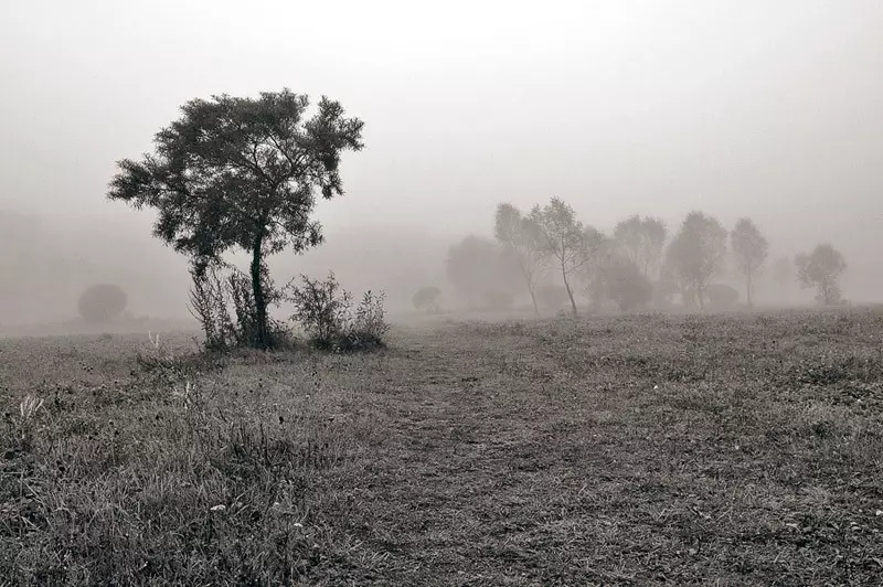 Tlen आणि निराशा: शरद ऋतूतील धुके सर्वोत्तम फोटो 36747_21