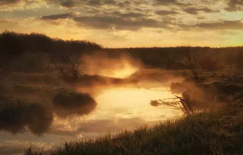 Tlen und Verzweiflung: Die besten Fotos von Herbst-Nebel 36747_24