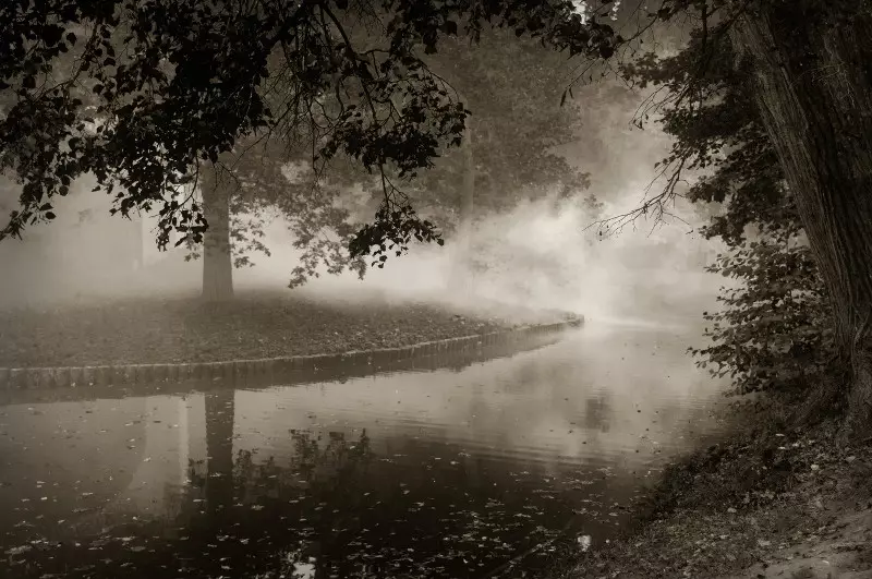 Тлін і безвихідь: кращі фотографії осінніх туманів 36747_25