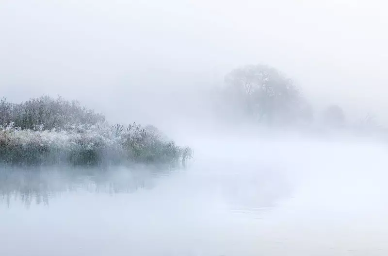 Tlen y desesperación: las mejores fotos de niebla de otoño 36747_26