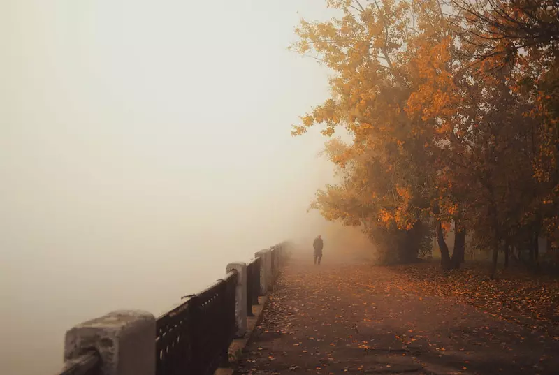 Tlen y desesperación: las mejores fotos de niebla de otoño 36747_29