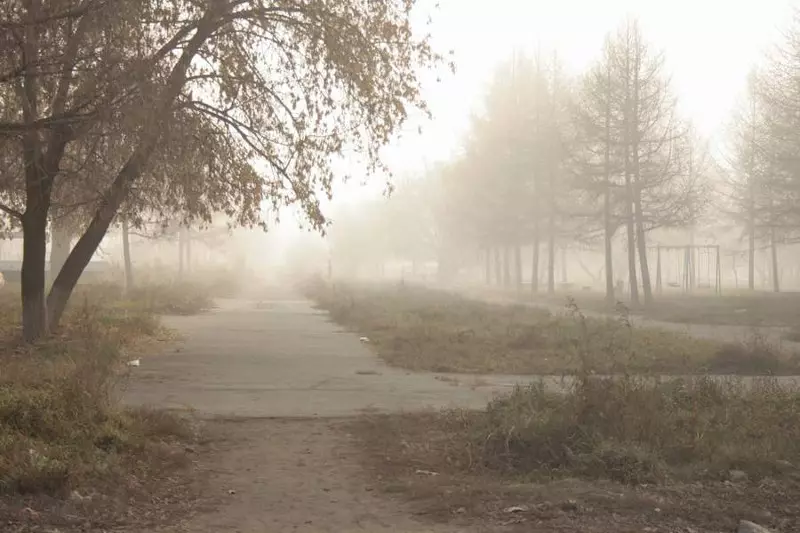 Tlen uye kupererwa: iyo yakanakisa mafoto emukati autumn 36747_3