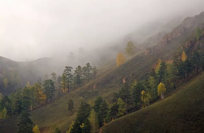 टेन र निराशा: शरद Fogs हरूको सर्वश्रेष्ठ फोटोहरू 36747_4