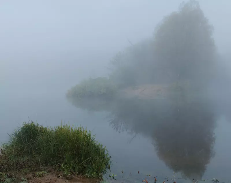 Tlen en wanhoop: de bêste foto's fan hjerst mist 36747_8