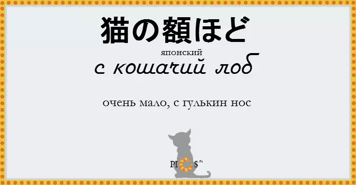 Катидиом01