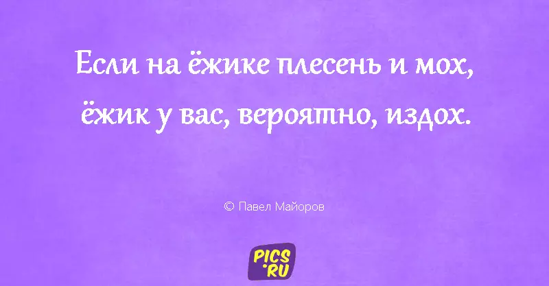 Взрослятам про звірят і інші цинічні і божевільні віршики