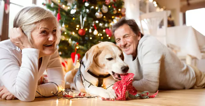 Eu quero cuidar de você hoje: histórias mágicas de amor de família simples