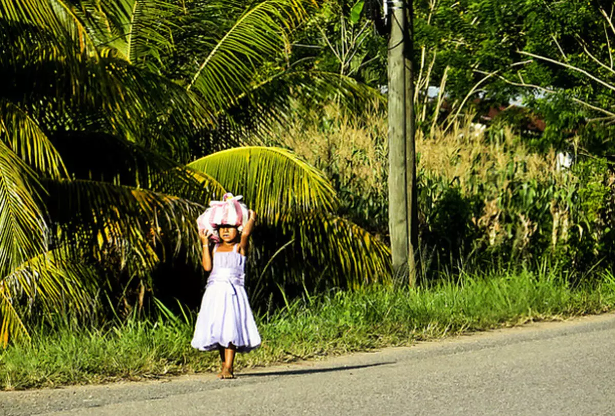 ഹോണ്ട്.