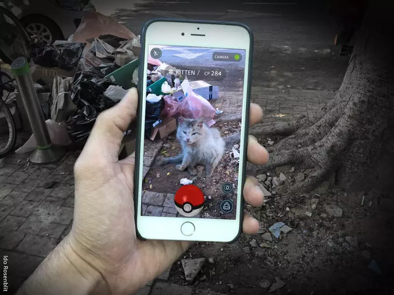 Pokemon Go y Publicidad social: cuando en lugar de Pokemon - Animales sin hogar