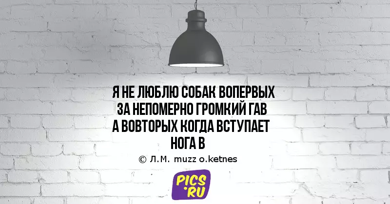 12 poezii-pulberi care vă vor ajuta să trăiți la weekend 37635_11