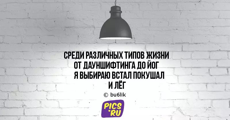 Демалыс күндері өмір сүруге көмектесетін 12 өлең-ұнтақтар 37635_6