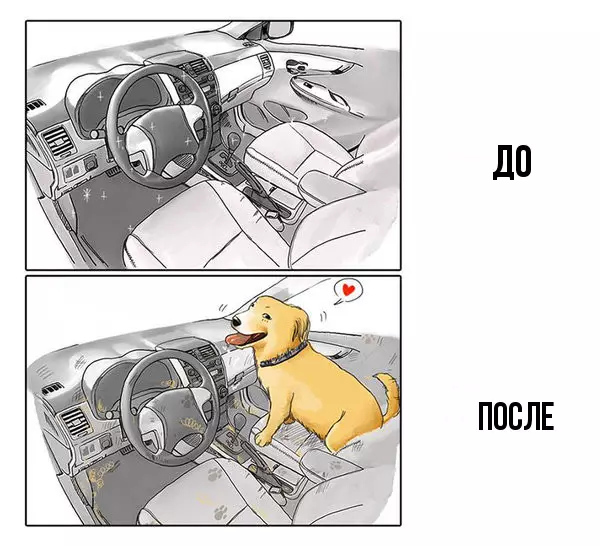 Wie der Hund Ihr Leben (und eine Wohnung) ändert. Die ganze Wahrheit in 9 Bildern 37715_2