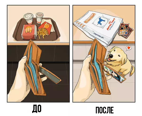 Come il cane cambierà la tua vita (e un appartamento). L'intera verità in 9 immagini 37715_4