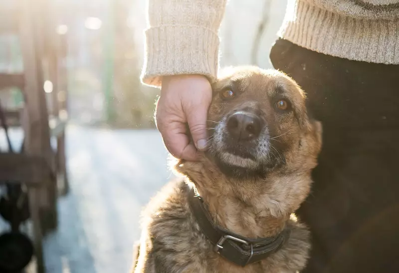 Ljudi i zvijeri. 10 paradoksa humanizma