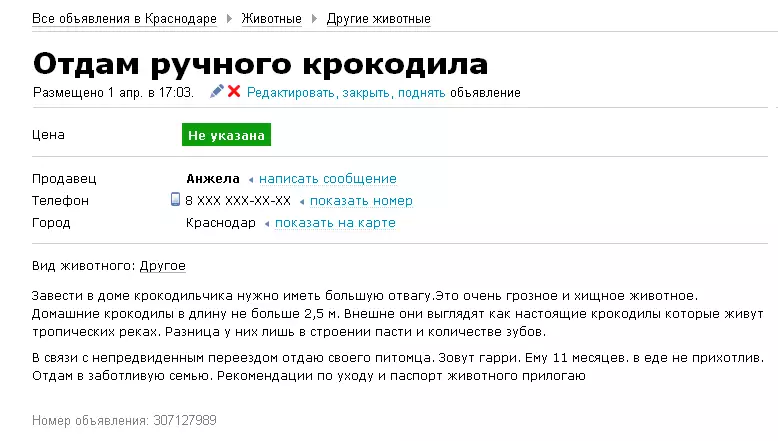 16 Labing maayo nga nakit-an sa Avito.ru 37914_2