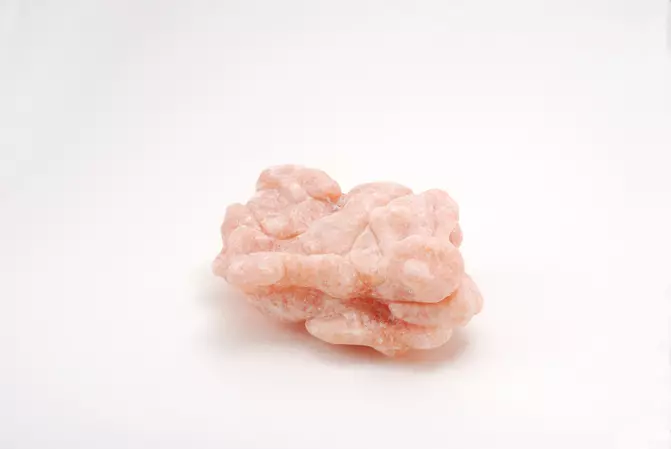 182_chewing-Gum-Rose