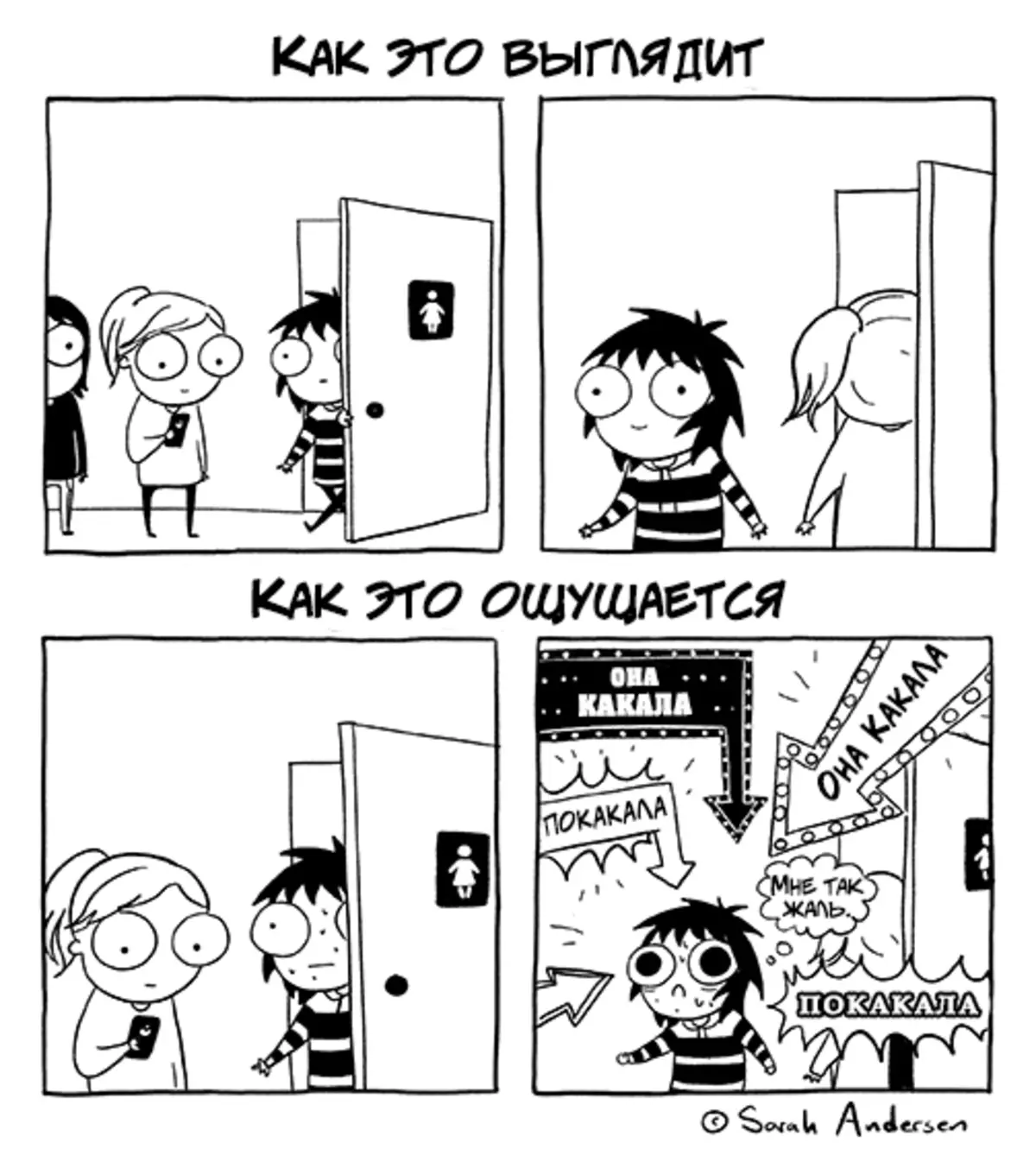 000347-gokyzwl5i