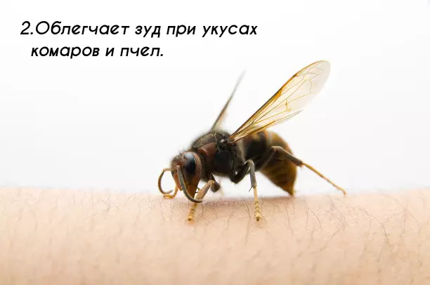 2Сода.