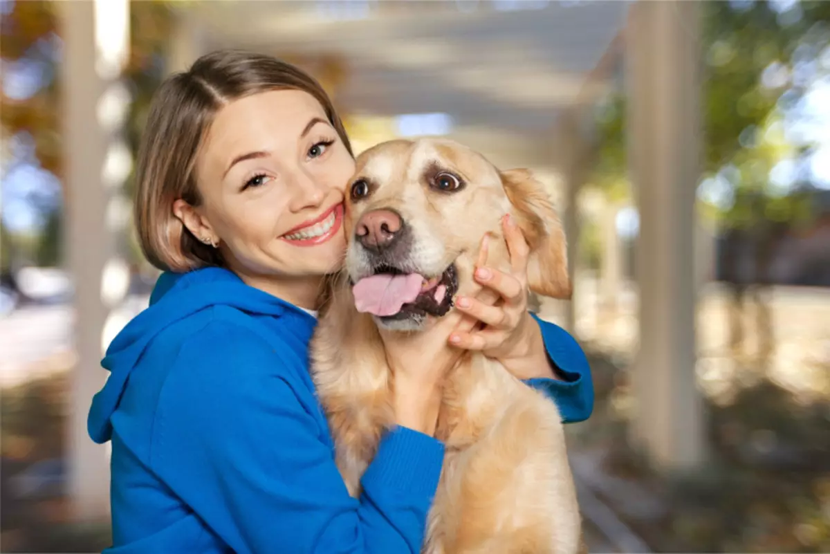 Honde is glad nie drukkies nie. Bewys wetenskaplik: hulle hou nie daarvan nie 38221_1