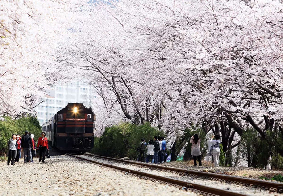 Gyeonhwa.