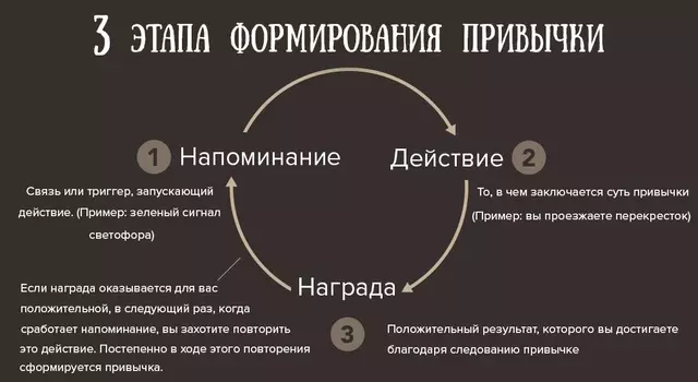 Мен Ларк болуп калсам, мен жаңы тилди билдим жана жылына 5 эсе көп китеп окудум 38622_3