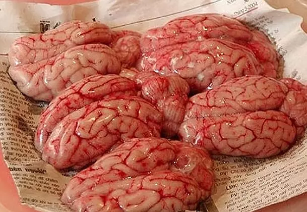 Brain4.