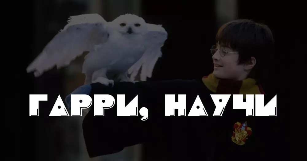 Harry Potter na ụkpụrụ ezinụlọ: Gini mere ọdịnala nke ọdịnala ga-esi kpụọ akwụkwọ ndị na-achọ