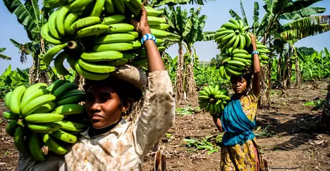 39 fotos incribles de mulleres de todo o mundo no traballo