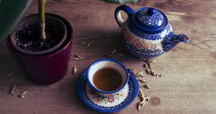 11 things that only understand the true amateur of tea